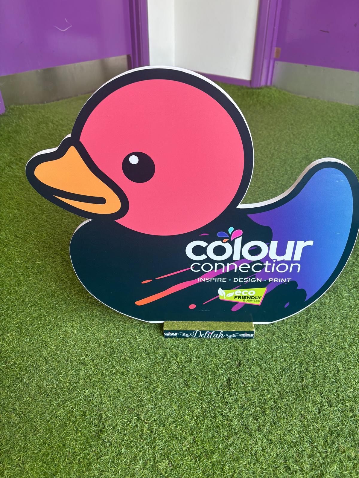 Delilah, decorated duck by Colour Connection